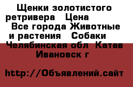 Щенки золотистого ретривера › Цена ­ 15 000 - Все города Животные и растения » Собаки   . Челябинская обл.,Катав-Ивановск г.